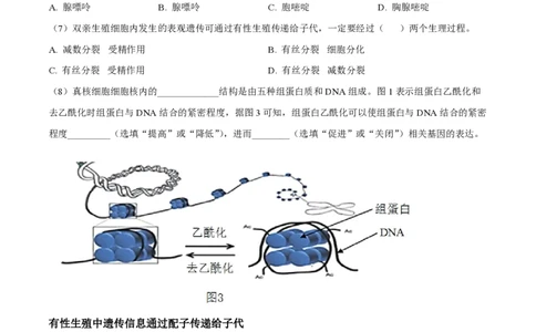 精品解析：上海奉贤区致远高级中学2022-2023学年高一下学期期中教学评估生物试题（原卷版）_0122026上海中考一模二模真题试卷_2026年上海一模_上海1500初中高中试卷_高中_高一_下学期