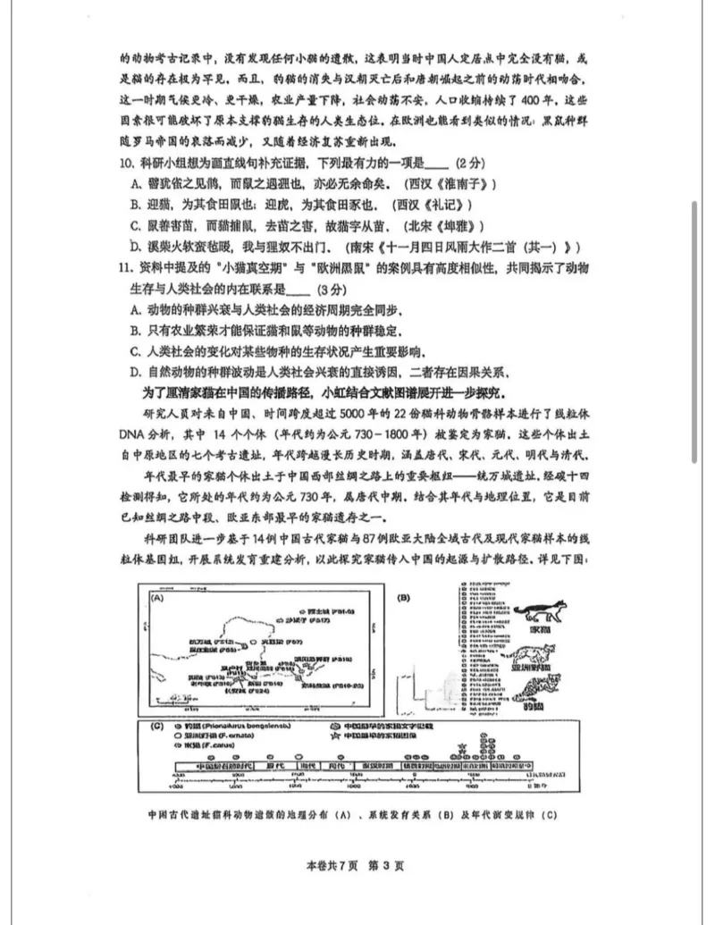 虹口区二模语文试卷_0122026上海中考一模二模真题试卷_2026上海二模更新中1_虹口