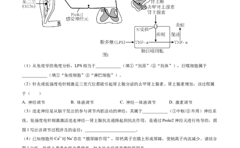 精品解析：2023届上海市徐汇区高三二模生物试题（原卷版）_0122026上海中考一模二模真题试卷_2026年上海一模_上海1500初中高中试卷_高中_高三_模拟卷_生物
