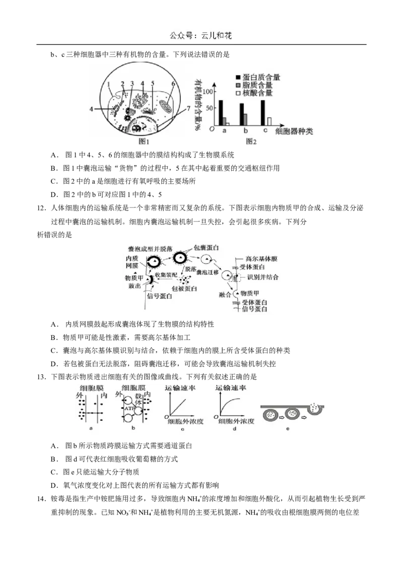 安徽师范大学附属中学2024-2025学年高一上学期12月月考生物试卷_2025年01月试卷_0108安徽师范大学附属中学2024-2025学年高一上学期12月月考试题