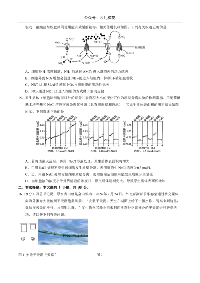 安徽师范大学附属中学2024-2025学年高一上学期12月月考生物试卷_2025年01月试卷_0108安徽师范大学附属中学2024-2025学年高一上学期12月月考试题