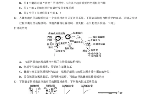 安徽师范大学附属中学2024-2025学年高一上学期12月月考生物试卷_2025年01月试卷_0108安徽师范大学附属中学2024-2025学年高一上学期12月月考试题