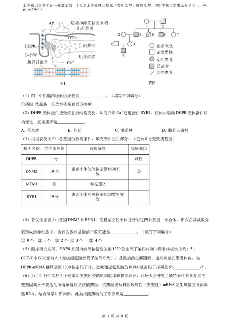 精品解析：2023届上海市黄埔区高三一模生物试题（原卷版）_0122026上海中考一模二模真题试卷_2026年上海一模_上海1500初中高中试卷_高中_高三_模拟卷_生物