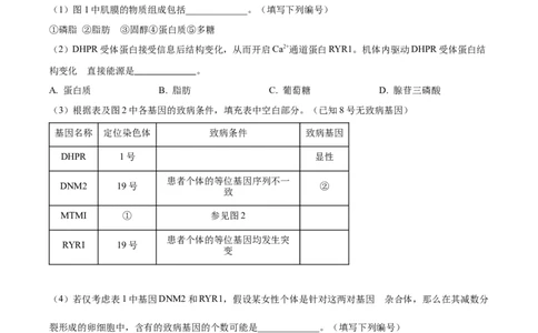 精品解析：2023届上海市黄埔区高三一模生物试题（原卷版）_0122026上海中考一模二模真题试卷_2026年上海一模_上海1500初中高中试卷_高中_高三_模拟卷_生物