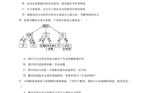 安徽省六安市独山中学2025-2026学年高一上学期10月月考生物试题含答案_2025年11月高一试卷_251101安徽省六安市独山中学2025-2026学年高一上学期10月月考（全）