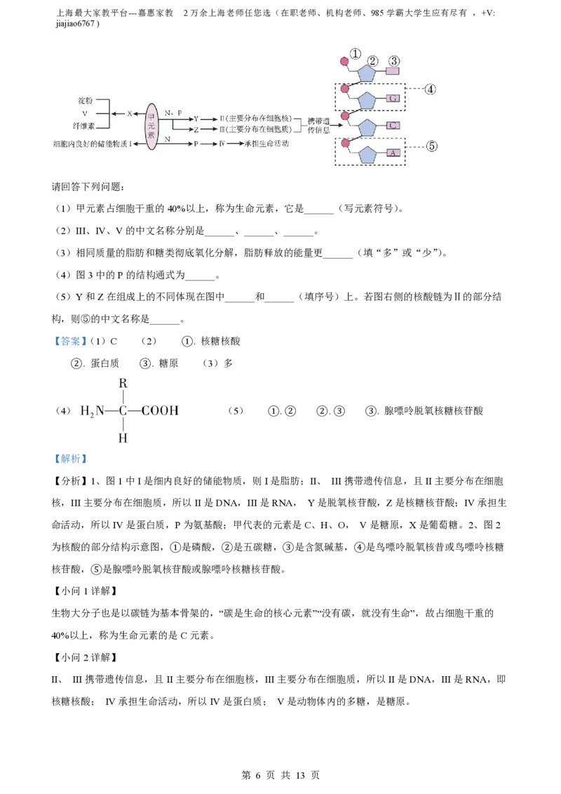 精品解析：上海市某校2023-2024学年高一10月考试生物试题（解析版）_0122026上海中考一模二模真题试卷_2026年上海一模_上海1500初中高中试卷_高中_高一_上学期_1：月考