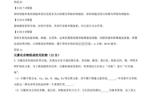 精品解析：上海市某校2023-2024学年高一10月考试生物试题（解析版）_0122026上海中考一模二模真题试卷_2026年上海一模_上海1500初中高中试卷_高中_高一_上学期_1：月考