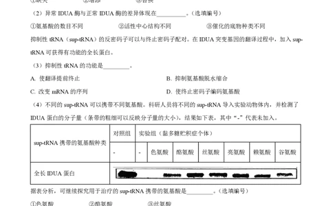 精品解析：上海市复旦大学附属中学2022-2023学年高二下学期期末等级性考试生物试题（解析版）_0122026上海中考一模二模真题试卷_2026年上海一模_上海1500初中高中试卷_高中_高二_下学期