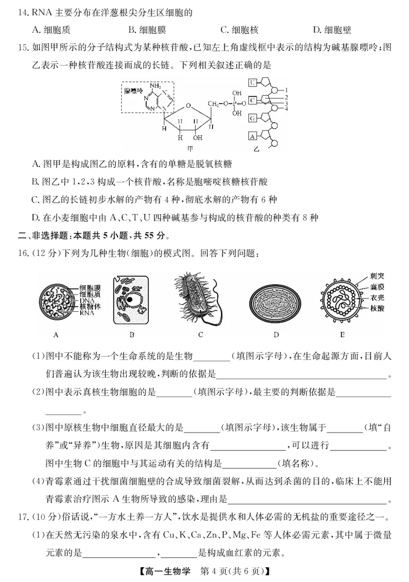 安徽省江淮名校2025-2026学年高一上学期阶段联考-生物_2025年11月高一试卷_251123安徽省江淮名校2025-2026学年高一上学期阶段联考（全）
