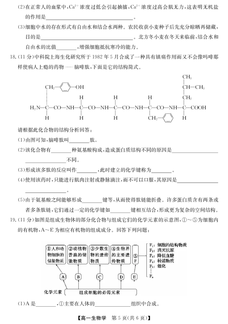 安徽省江淮名校2025-2026学年高一上学期阶段联考-生物_2025年11月高一试卷_251123安徽省江淮名校2025-2026学年高一上学期阶段联考（全）