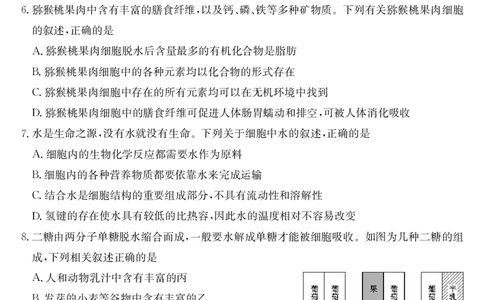 安徽省江淮名校2025-2026学年高一上学期阶段联考-生物_2025年11月高一试卷_251123安徽省江淮名校2025-2026学年高一上学期阶段联考（全）