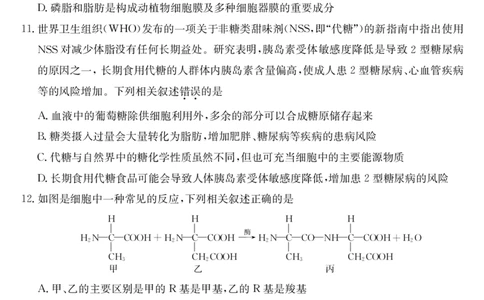安徽省江淮名校2025-2026学年高一上学期阶段联考-生物_2025年11月高一试卷_251123安徽省江淮名校2025-2026学年高一上学期阶段联考（全）