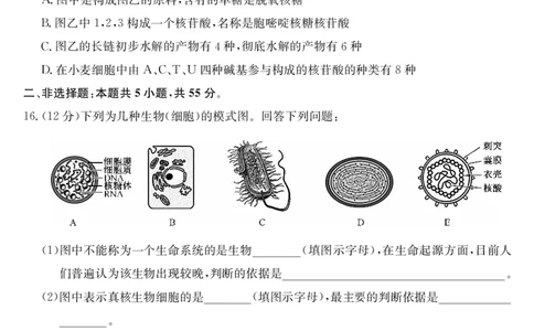 安徽省江淮名校2025-2026学年高一上学期阶段联考-生物_2025年11月高一试卷_251123安徽省江淮名校2025-2026学年高一上学期阶段联考（全）