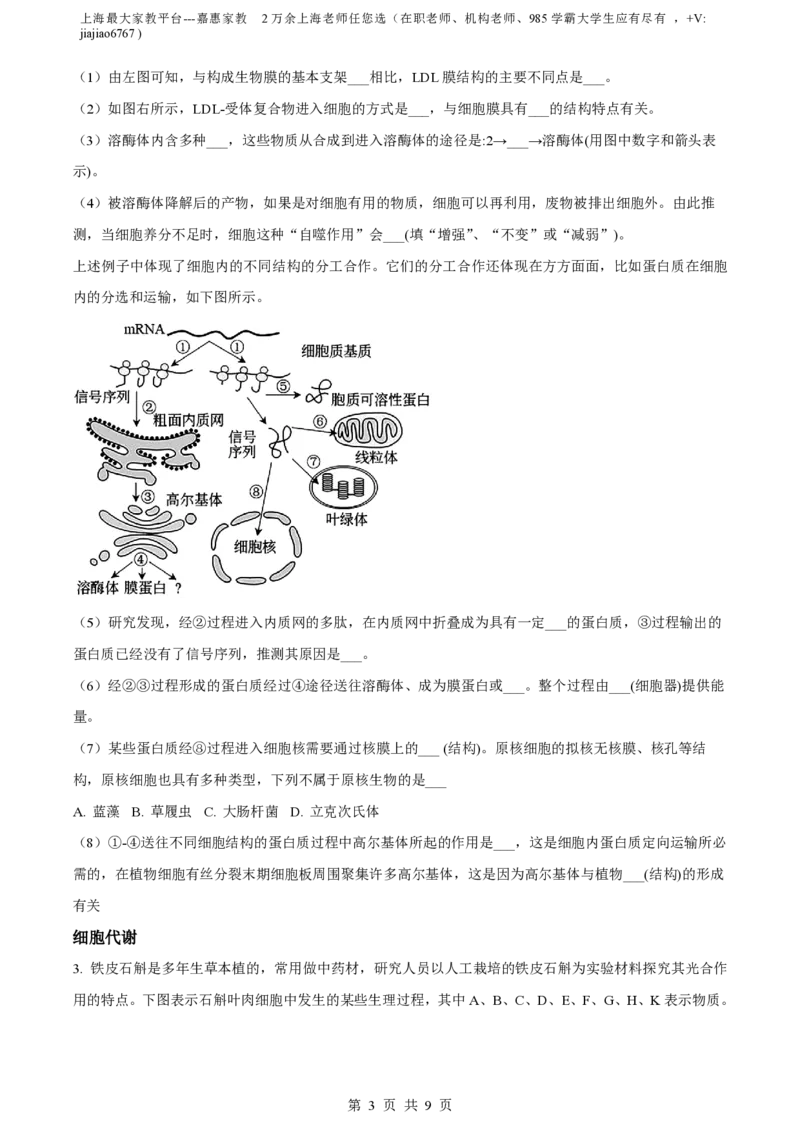 精品解析：上海市华东师范大学二附中2022-2023学年高一下学期期中生物试题（原卷版）_0122026上海中考一模二模真题试卷_2026年上海一模_上海1500初中高中试卷_高中_高一_下学期_2：期中