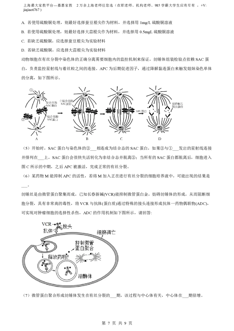 精品解析：上海市华东师范大学二附中2022-2023学年高一下学期期中生物试题（原卷版）_0122026上海中考一模二模真题试卷_2026年上海一模_上海1500初中高中试卷_高中_高一_下学期_2：期中