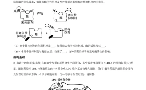 精品解析：上海市华东师范大学二附中2022-2023学年高一下学期期中生物试题（原卷版）_0122026上海中考一模二模真题试卷_2026年上海一模_上海1500初中高中试卷_高中_高一_下学期_2：期中
