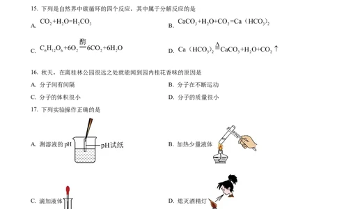精品解析：2024年上海市徐汇区中考一模化学试题（原卷版）_0122026上海中考一模二模真题试卷_2025-2012年_5.上海中考化学一模二模（12-24）_一模_2024年上海市中考化学一模试卷（13份）