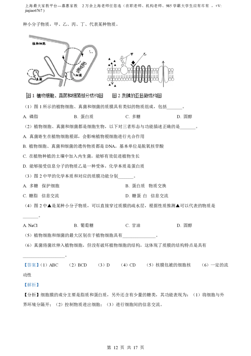 精品解析：上海市延安中学2022-2023学年高一上期末生物试题（解析版）_0122026上海中考一模二模真题试卷_2026年上海一模_上海1500初中高中试卷_高中_高一_上学期_3：期末