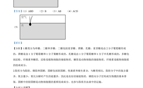 精品解析：上海市延安中学2022-2023学年高一上期末生物试题（解析版）_0122026上海中考一模二模真题试卷_2026年上海一模_上海1500初中高中试卷_高中_高一_上学期_3：期末