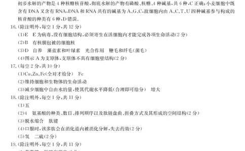安徽省江淮名校2025-2026学年高一上学期阶段联考-生物答案_2025年11月高一试卷_251123安徽省江淮名校2025-2026学年高一上学期阶段联考（全）