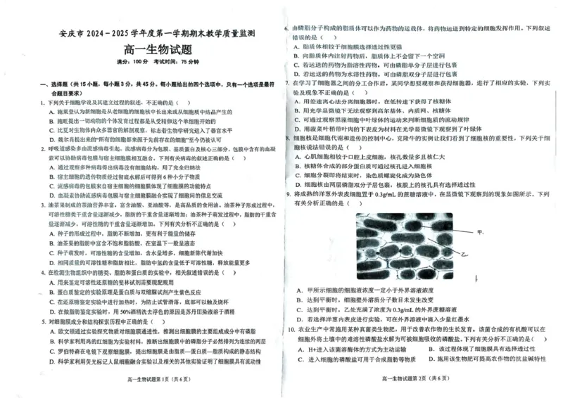 安徽省安庆市2024-2025学年第一学期期末统考高一生物试题及答案高一生物试题_2025年02月试卷_0215安徽省安庆市2024-2025学年高一上学期1月期末考试