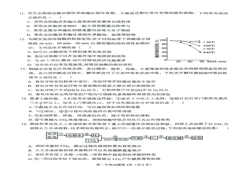 安徽省安庆市2024-2025学年第一学期期末统考高一生物试题及答案高一生物试题_2025年02月试卷_0215安徽省安庆市2024-2025学年高一上学期1月期末考试