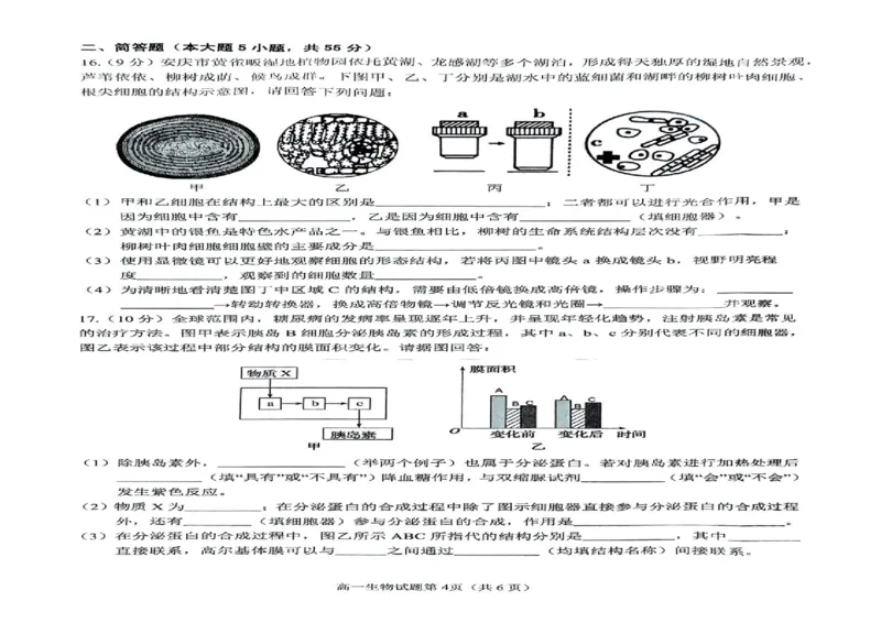 安徽省安庆市2024-2025学年第一学期期末统考高一生物试题及答案高一生物试题_2025年02月试卷_0215安徽省安庆市2024-2025学年高一上学期1月期末考试