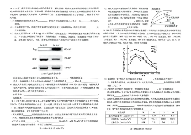 安徽省安庆市2024-2025学年第一学期期末统考高一生物试题及答案高一生物试题_2025年02月试卷_0215安徽省安庆市2024-2025学年高一上学期1月期末考试