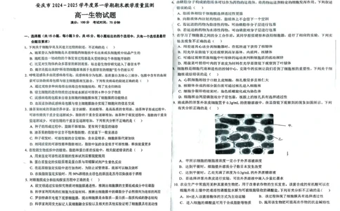 安徽省安庆市2024-2025学年第一学期期末统考高一生物试题及答案高一生物试题_2025年02月试卷_0215安徽省安庆市2024-2025学年高一上学期1月期末考试