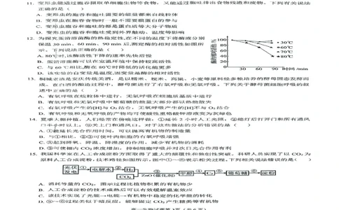 安徽省安庆市2024-2025学年第一学期期末统考高一生物试题及答案高一生物试题_2025年02月试卷_0215安徽省安庆市2024-2025学年高一上学期1月期末考试