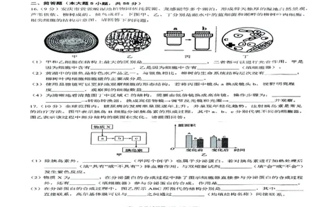 安徽省安庆市2024-2025学年第一学期期末统考高一生物试题及答案高一生物试题_2025年02月试卷_0215安徽省安庆市2024-2025学年高一上学期1月期末考试