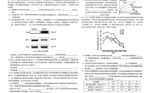 安徽省安庆市2024-2025学年第一学期期末统考高一生物试题及答案高一生物试题_2025年02月试卷_0215安徽省安庆市2024-2025学年高一上学期1月期末考试