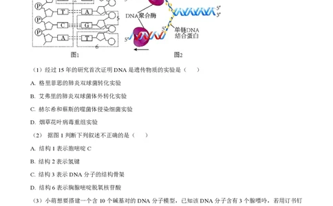 精品解析：上海奉贤区致远高级中学2022-2023学年高一下学期期中教学评估生物试题（解析版）_0122026上海中考一模二模真题试卷_2026年上海一模_上海1500初中高中试卷_高中_高一_下学期