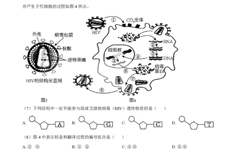 精品解析：上海奉贤区致远高级中学2022-2023学年高一下学期期中教学评估生物试题（解析版）_0122026上海中考一模二模真题试卷_2026年上海一模_上海1500初中高中试卷_高中_高一_下学期