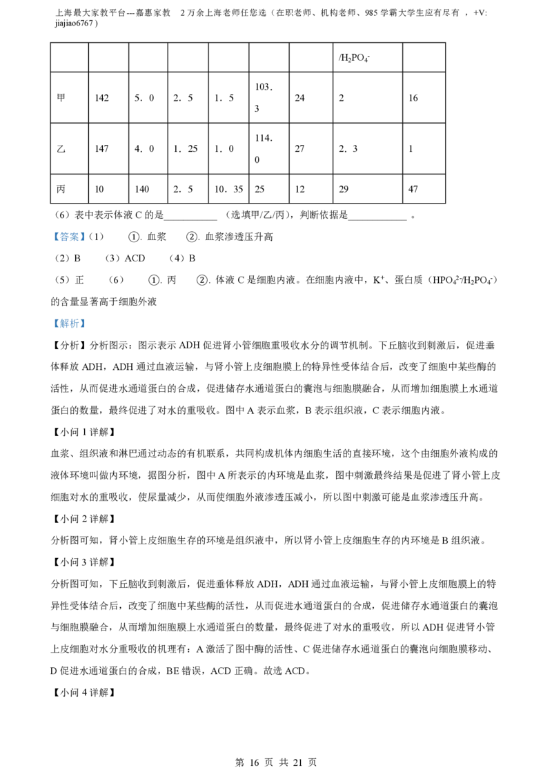精品解析：上海市徐汇中学2021-2022学年高二上学期期中生物（等级考）试题（解析版）_0122026上海中考一模二模真题试卷_2026年上海一模_上海1500初中高中试卷_高中_高二_上学期_2：期中