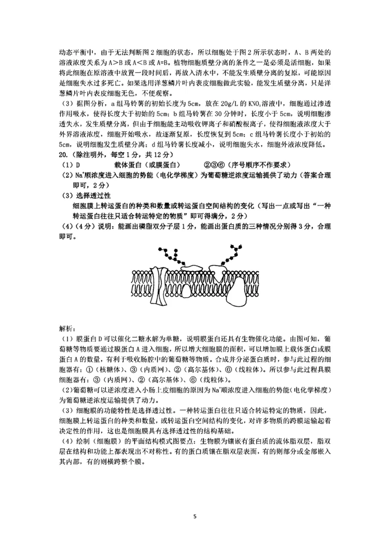 安徽师范大学附属中学2024-2025学年高一上学期12月月考生物答案_2025年01月试卷_0108安徽师范大学附属中学2024-2025学年高一上学期12月月考试题