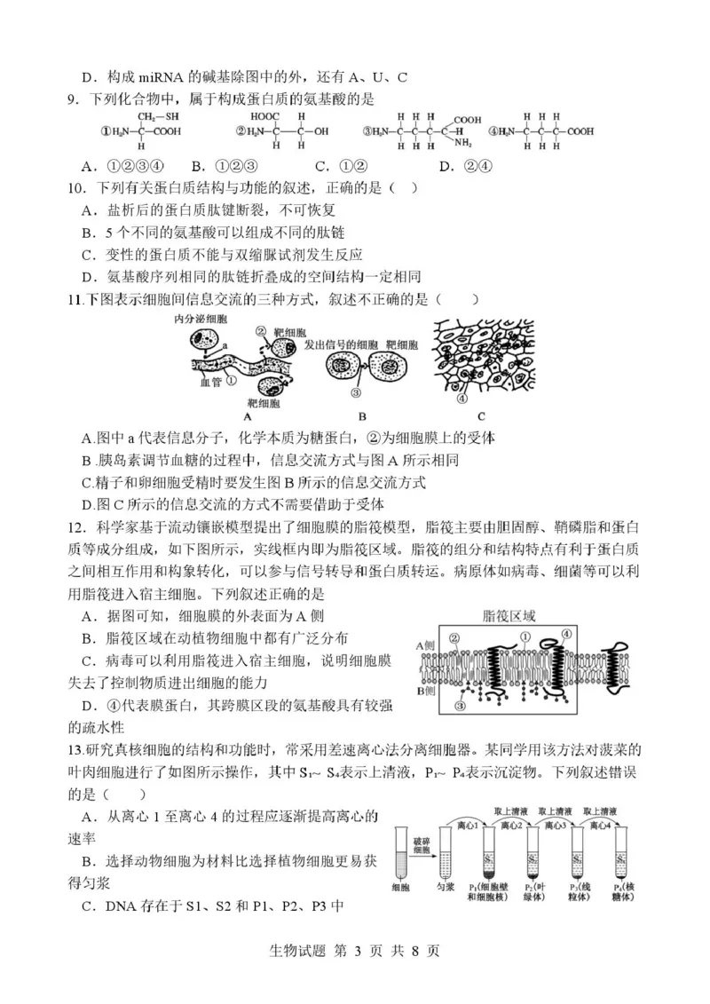 山东省枣庄市市中区枣庄市第三中学2025-2026学年高一上学期1月月考生物试题_2026年01月高一试卷_260118山东省枣庄市第三中学2025-2026学年高一上学期1月月考（全）