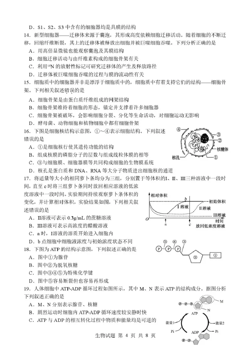 山东省枣庄市市中区枣庄市第三中学2025-2026学年高一上学期1月月考生物试题_2026年01月高一试卷_260118山东省枣庄市第三中学2025-2026学年高一上学期1月月考（全）
