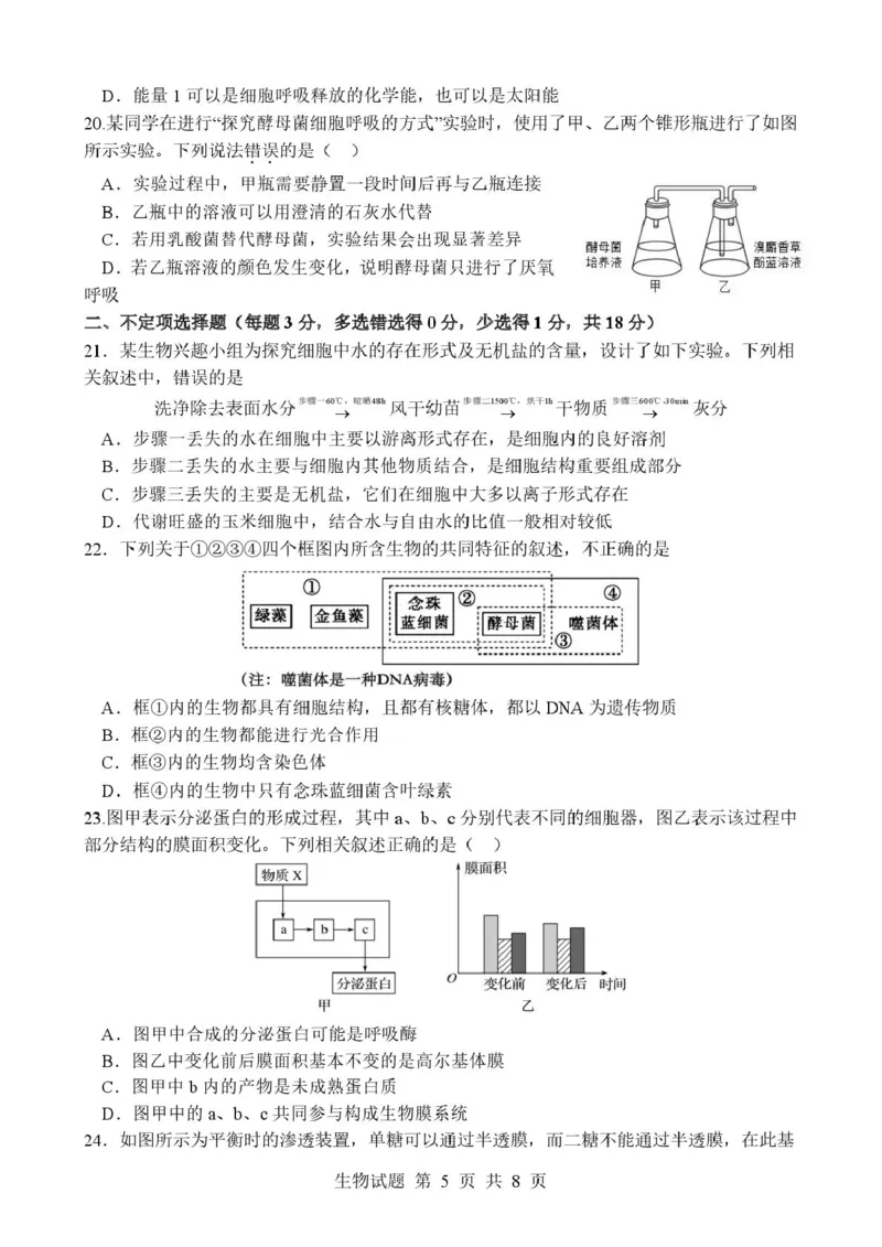 山东省枣庄市市中区枣庄市第三中学2025-2026学年高一上学期1月月考生物试题_2026年01月高一试卷_260118山东省枣庄市第三中学2025-2026学年高一上学期1月月考（全）