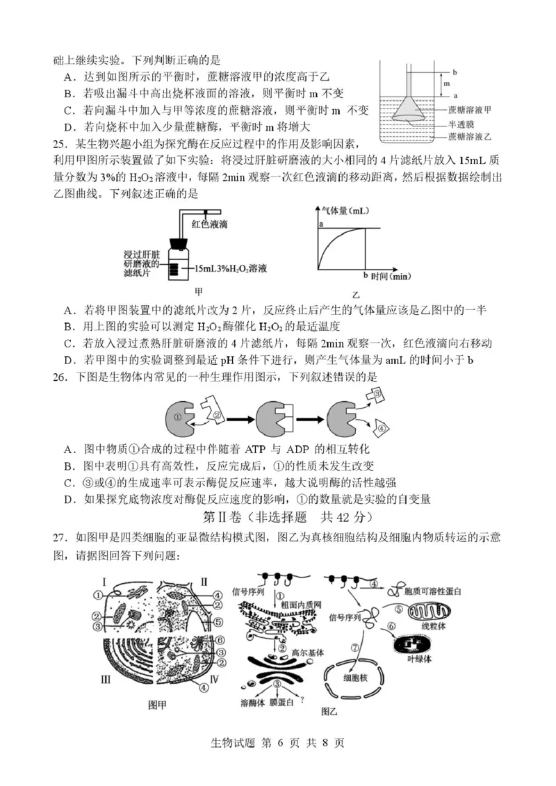山东省枣庄市市中区枣庄市第三中学2025-2026学年高一上学期1月月考生物试题_2026年01月高一试卷_260118山东省枣庄市第三中学2025-2026学年高一上学期1月月考（全）