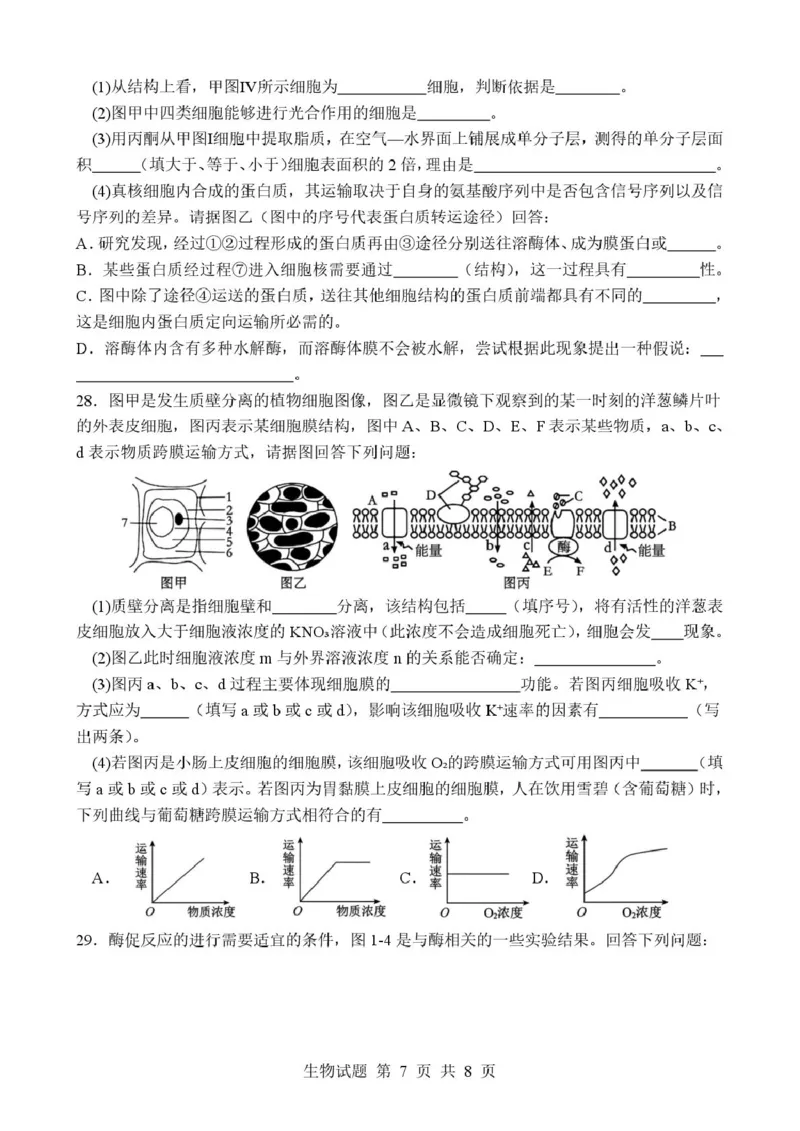 山东省枣庄市市中区枣庄市第三中学2025-2026学年高一上学期1月月考生物试题_2026年01月高一试卷_260118山东省枣庄市第三中学2025-2026学年高一上学期1月月考（全）