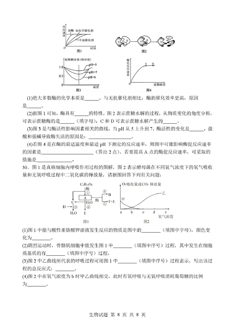 山东省枣庄市市中区枣庄市第三中学2025-2026学年高一上学期1月月考生物试题_2026年01月高一试卷_260118山东省枣庄市第三中学2025-2026学年高一上学期1月月考（全）
