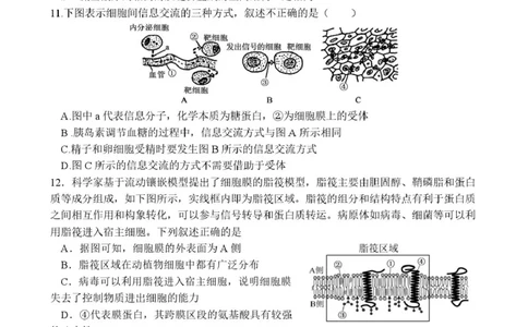 山东省枣庄市市中区枣庄市第三中学2025-2026学年高一上学期1月月考生物试题_2026年01月高一试卷_260118山东省枣庄市第三中学2025-2026学年高一上学期1月月考（全）
