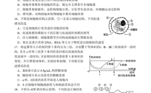 山东省枣庄市市中区枣庄市第三中学2025-2026学年高一上学期1月月考生物试题_2026年01月高一试卷_260118山东省枣庄市第三中学2025-2026学年高一上学期1月月考（全）