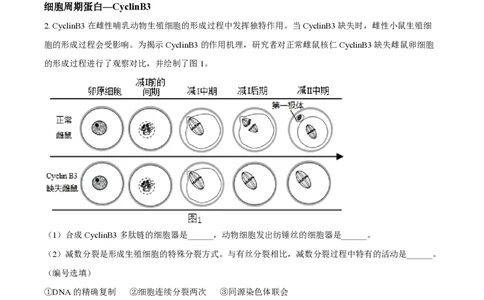 精品解析：上海市上海中学2022-2023学年高二下学期期中生物试题（原卷版）_0122026上海中考一模二模真题试卷_2026年上海一模_上海1500初中高中试卷_高中_高二_下学期_2：期中
