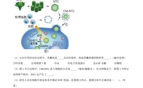 精品解析：上海七宝中学2022-2023学年高二上生物期末生物试题（原卷版）_0122026上海中考一模二模真题试卷_2026年上海一模_上海1500初中高中试卷_高中_高二_上学期_3：期末