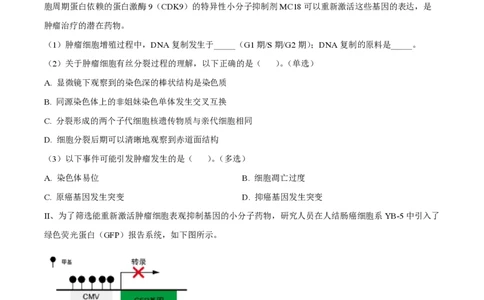 精品解析：上海七宝中学2022-2023学年高二上生物期末生物试题（原卷版）_0122026上海中考一模二模真题试卷_2026年上海一模_上海1500初中高中试卷_高中_高二_上学期_3：期末