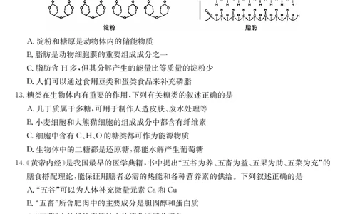 安徽省县中联盟2025～2026学年度第一学期高一10月联考生物_2025年10月高一试卷_251021安徽省县中联盟2025～2026学年度第一学期高一10月联考（26-X-035A）（全）