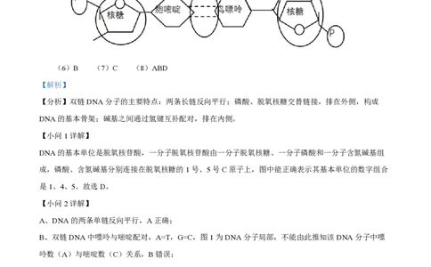 精品解析：上海市奉贤区致远高级中学2022-2023学年高一下学期期末教学评估生物试题（解析版）_0122026上海中考一模二模真题试卷_2026年上海一模_上海1500初中高中试卷_高中_高一_下学期