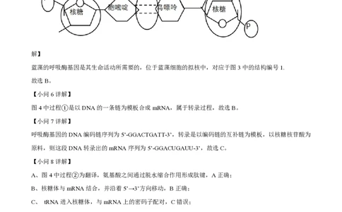 精品解析：上海市奉贤区致远高级中学2022-2023学年高一下学期期末教学评估生物试题（解析版）_0122026上海中考一模二模真题试卷_2026年上海一模_上海1500初中高中试卷_高中_高一_下学期
